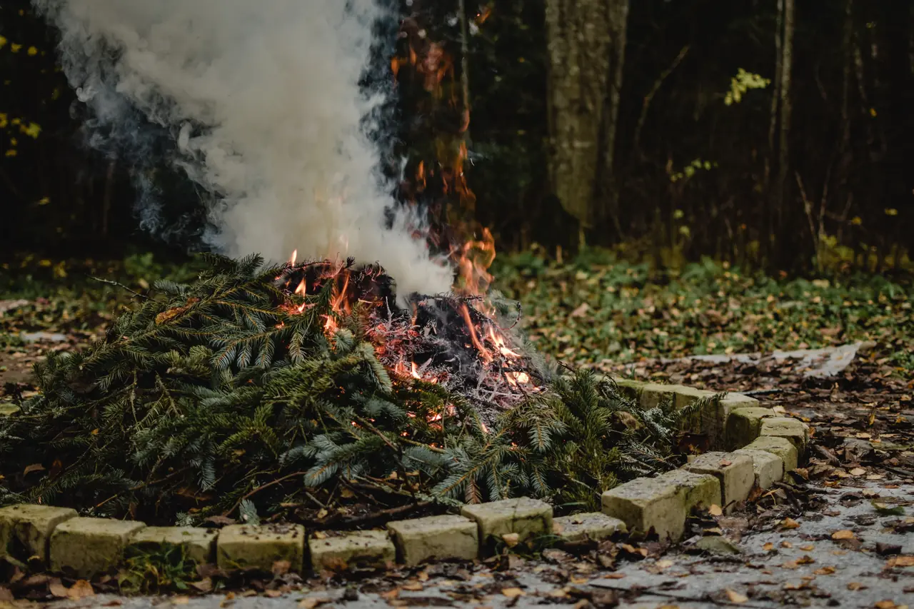Ognisko w kamiennym palenisku w lesie – ogień Strzelca na ziemi Panny, znaki w układzie kwadratury