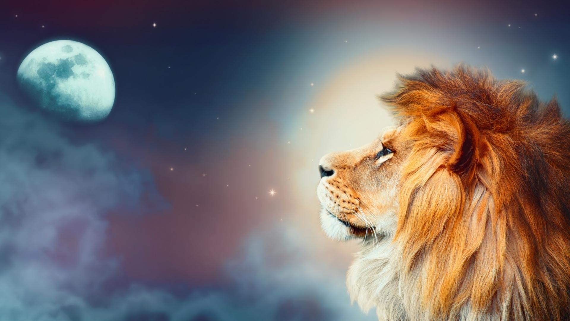 Jak Przygotować Się na Nów Księżyca